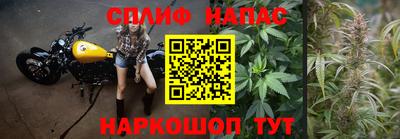 прущие грибы Белорецк