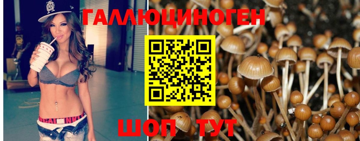 Галлюциногенные грибы Magic Shrooms Самара