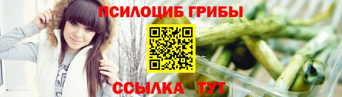 Галлюциногенные грибы Magic Shrooms  Вход с VPN  Самара  где купить   Псилоцибиновые грибы Psilocybine cubensis 